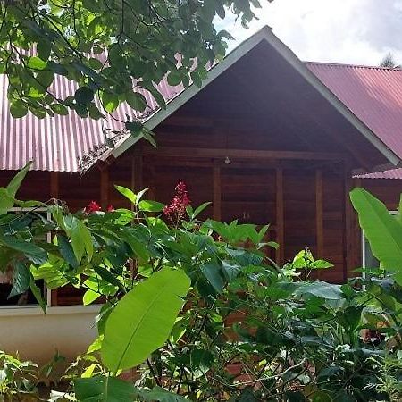 Cabanas Yax-Ha Arroyo Agua Azul Extérieur photo