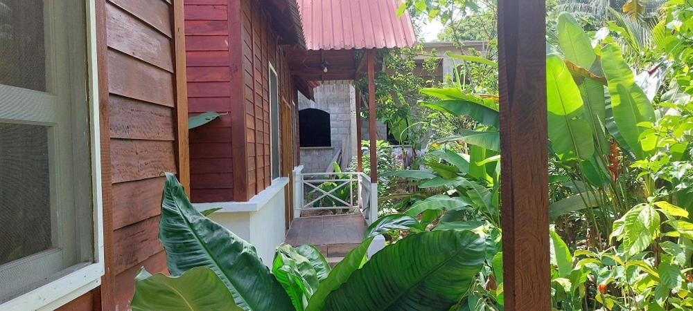 Cabanas Yax-Ha Arroyo Agua Azul Extérieur photo