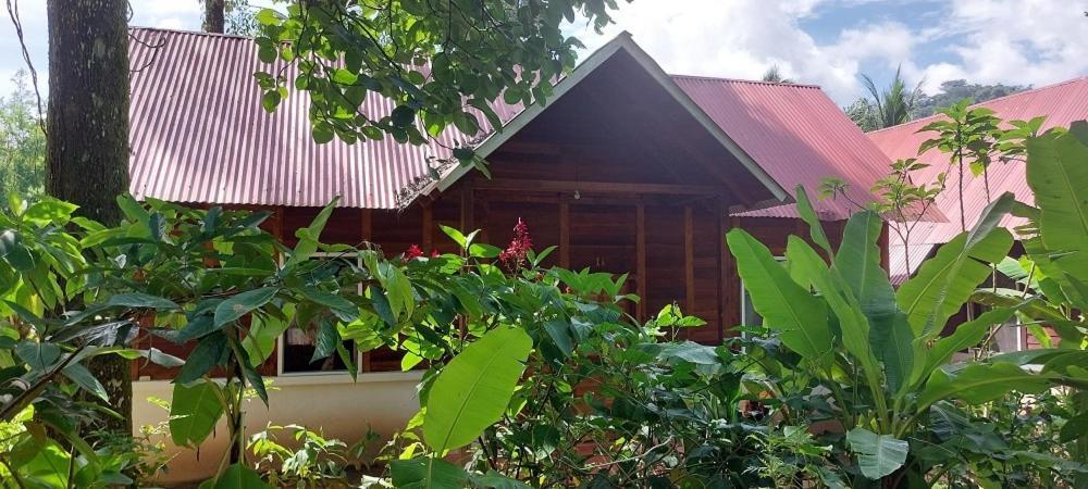 Cabanas Yax-Ha Arroyo Agua Azul Extérieur photo